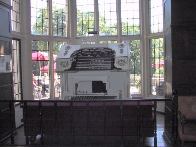 This picture is for quick loading of picture.