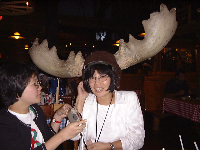 This picture is for quick loading of picture.