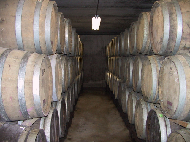 This picture is for quick loading of picture.