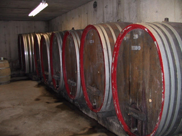 This picture is for quick loading of picture.